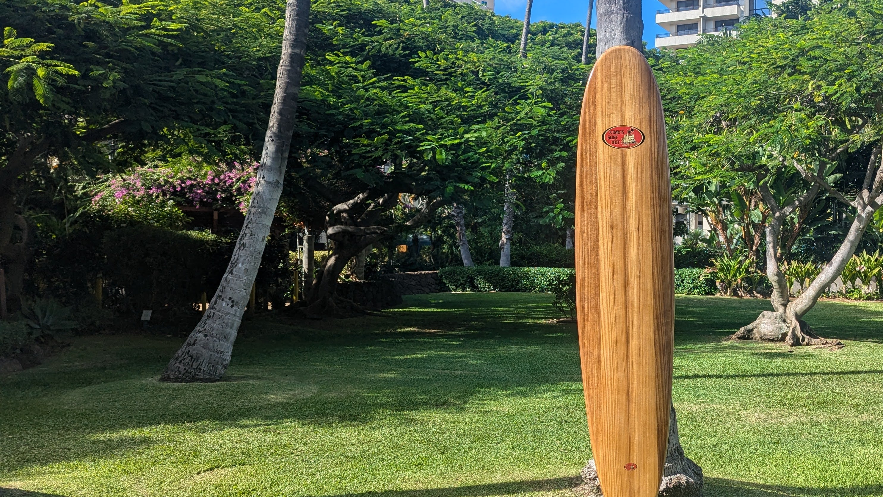 Wooden surfboard standing on a grassy area with palm trees and buildings in the background
